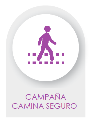 CAMPAÑA CAMINA SEGURO 2022